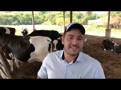 , title : 'PRÉ PARTO DE VACAS: COMO FAZER A NUTRIÇÃO E MANEJO ADEQUADO?'