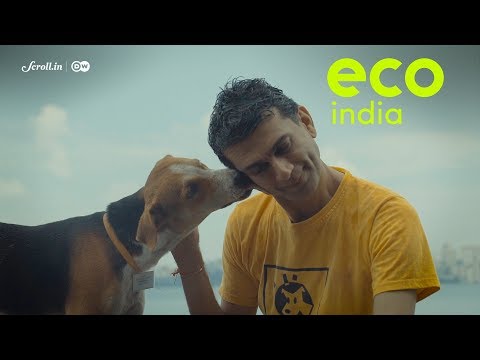 download lagu mp3 mp4 Stray Dog Rescue Mumbai, download lagu Stray Dog Rescue Mumbai gratis, unduh video klip Stray Dog Rescue Mumbai