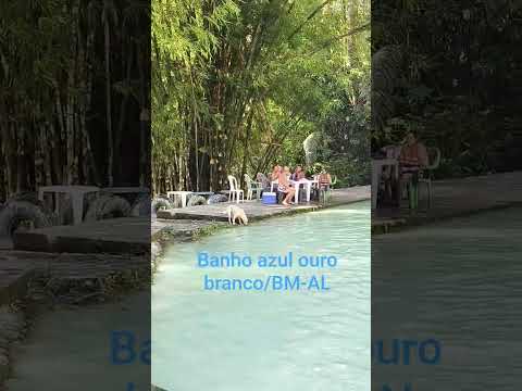 #sortsvideo #bocadamata #alagoas #nordeste