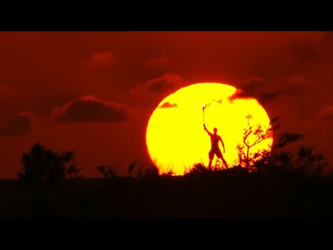 Survivor Seasons 1-37 Tribute