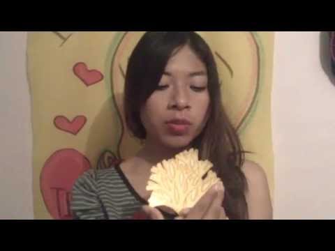 CICLO DE VIDA DICTYOTA