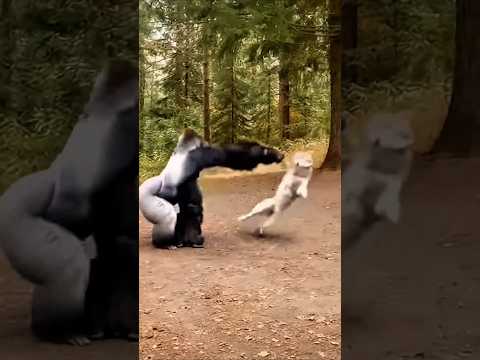 ATTACK INTERRUPTED... Guardian Dominates