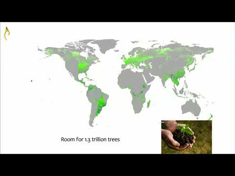 Exploring the Global Forest System to Predict & Address Climate Change | Latsis Speech 2018