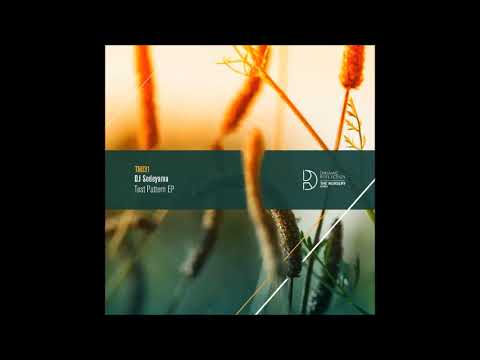 DJ Sodeyama - Test Pttrn 011