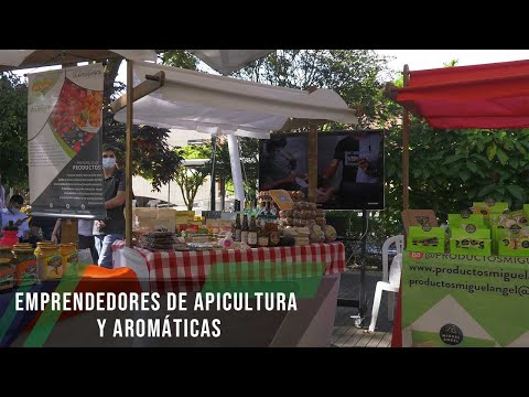 Beekeeping and Aromatic Entrepreneurs - TvAgro by Juan Gonzalo Angel Restrepo