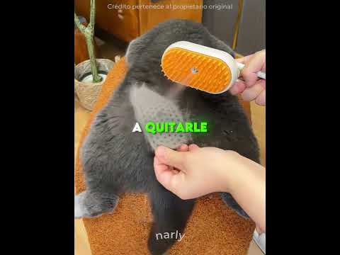 ¡Así Le Quita el Pelo a Su Gato! 🐱🪮
