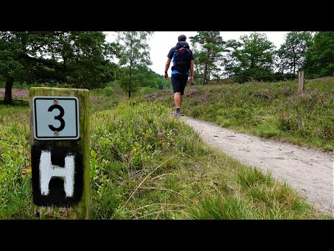 Zu Fuß auf dem Heidschnuckenweg. Etappe 1: Fischbek - Buchholz