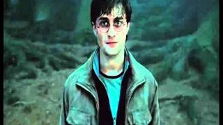 Harry Potter &amp; Voldemort [RED- WATCH YOU CRAWL]