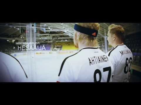 Koirat Areenalla lauantaina 9.12.2017!