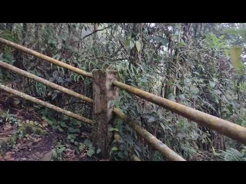 Noticias de Albán Cundinamarca Municipalidades de Colombia