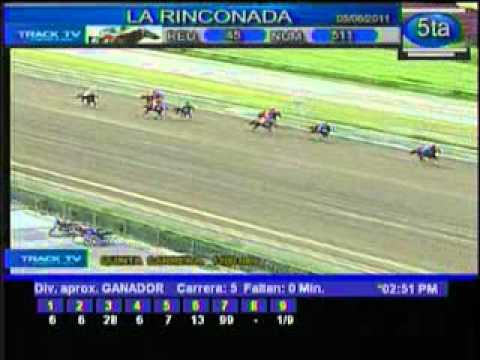 Resumen Domingo, 05 de Junio de 2011 - La Rinconada