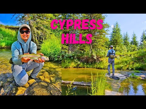Fly Fishing Cypress Hills Interprovincial Park - Saskatchewan