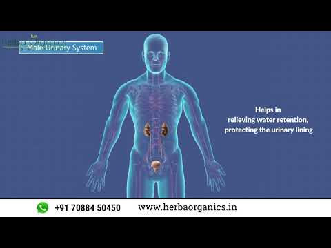 Ayurvedic kidney antistone capsule, for kindey stone, packag...