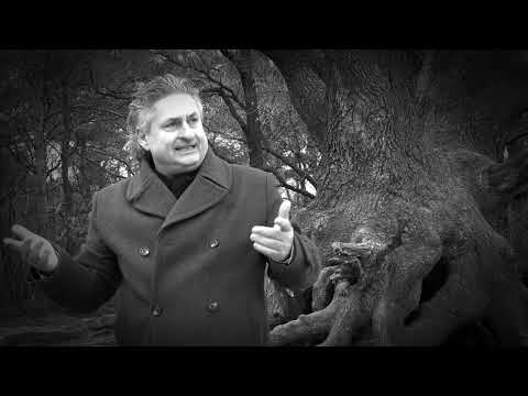 Stanley Hazes - Ik mis jou (Officiële Videoclip)