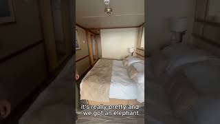 When You Find a Towel Elephant in Your Cabin 🐘😂 #CruiseLife #Shorts