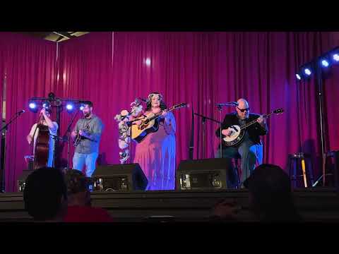 New Camptown Races — Red Camel Collective @ The Reidsville Showcase 3/21/25