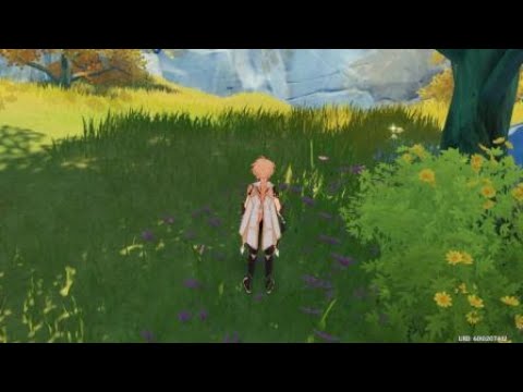 Genshin Impact Caça ao Tesouro Monte Nantianmen