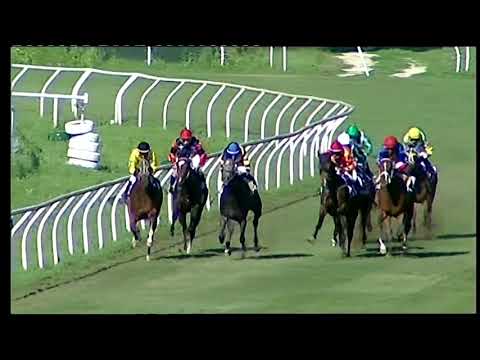 Napoli Galoppo 15/06/2021 - 2ª corsa