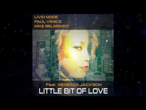VENESSA JACKSON / LITTLE BIT OF LOVE