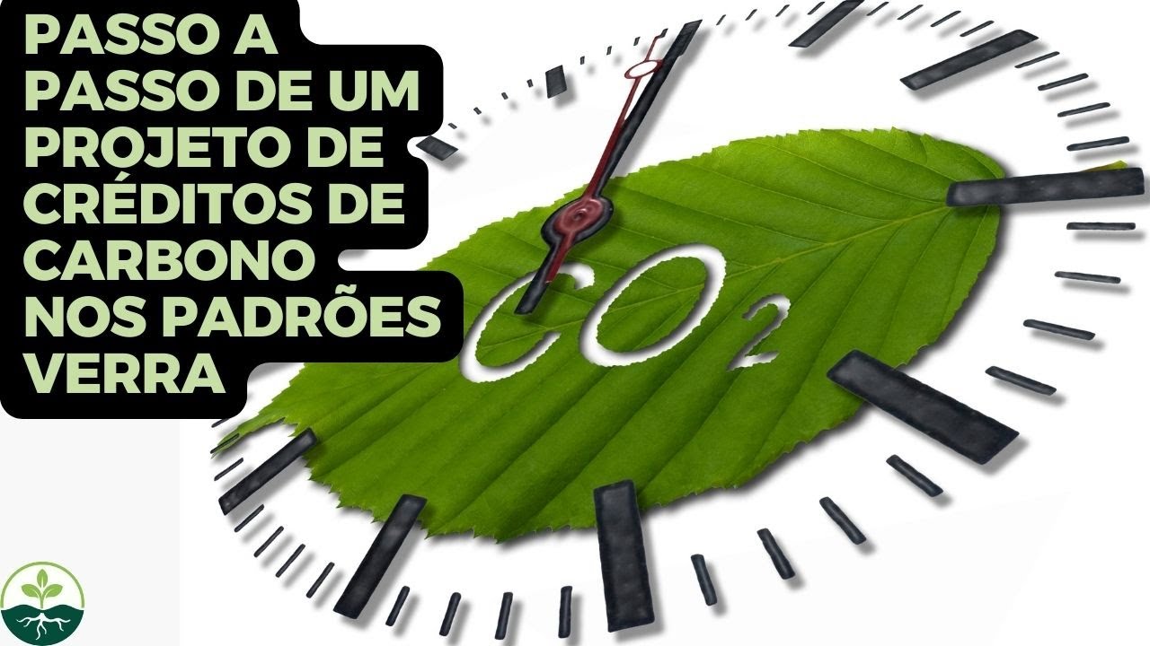 Passo a passo de um Projeto de Créditos de Carbono nos Padrões VERRA