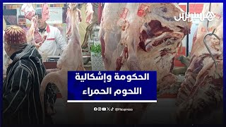 الحكومة تؤكد وعيها بإشكالية اللحوم الحمراء.. بايتاس: الاستيراد لتوفير العرض وإعادة بناء القطيع thumbnail