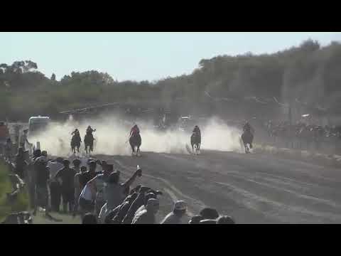 MAINQUE   11°  FORASTERO   5-2-23