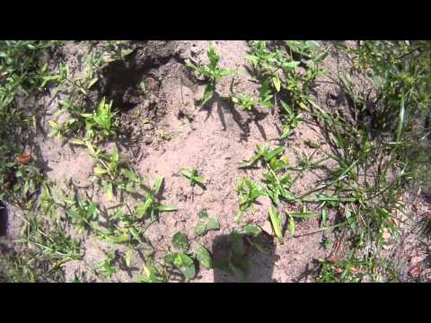 Place Right it's in Everything