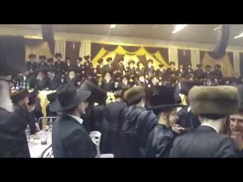 Wedding In Erlau & Kosov-Vizhnitz