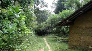 Bambuli Farm.... (Parde)