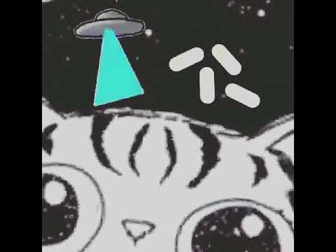 ti sje shok je fejker