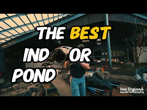 We're building the BEST indoor pond!