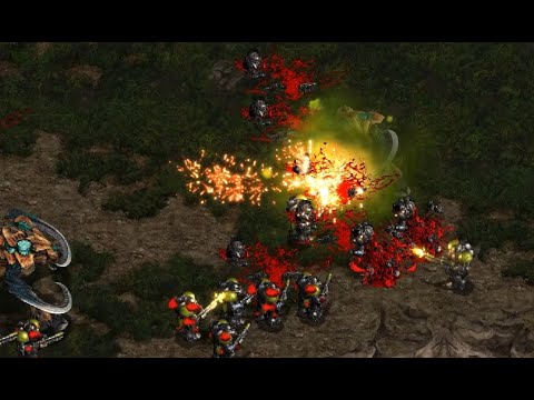 Last 🇰🇷 (T) v Queen 🇰🇷 (Z) on Heartbreak Ridge - StarCraft - Brood War REMASTERED