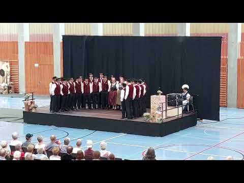 Jodlerklub Alpenblick Ufhusen - de Bärgbach (Ernst Sommer)