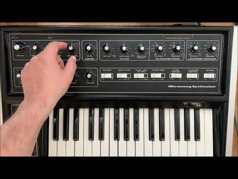 Micromoog filter and pad