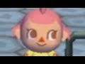 I A 24 Year Old Male Get Mad At Animal Crossing City Folk Wii