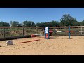 Male SF, lignée 10/10