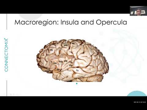 The Connectome Revolution - Episode #4