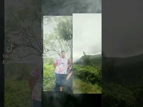 #trending #luxurycakes #cake #food #viral