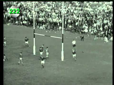 Springbok Try Nr: 222 - Nelie Smith (1964 - Wales, Durban)