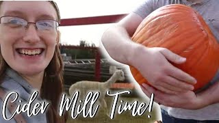 Going to the Cider Mill and Pumpkin Carving! // 3 Year Wedding Anniversary VLOG