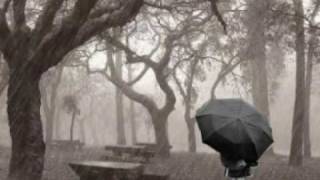 Ray Conniff: Gotas de lluvia sobre mi cabeza / Raindrops keep falling on my head