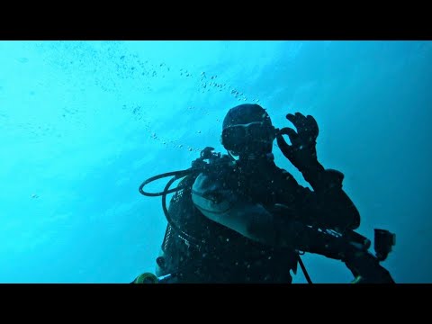 Maria Grécia - 18/12/2021 - Sesimbra - Portugal 🤿