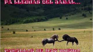 Y MAS AMOR GERARDO ORTIZ     CHAVITA PERDONAME AMOR