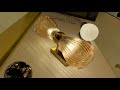 Светильник 45 см, Odeon Light Elica 5402/2W, золото