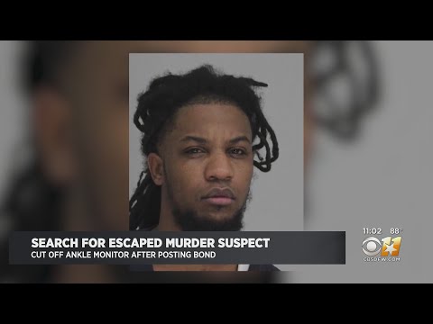 Search ongoing for accused killer on the lam in Dallas