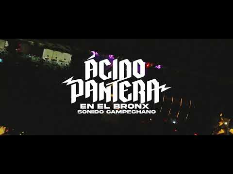 Sonido Campechano (En vivo desde El Bronx) - Ácido Pantera