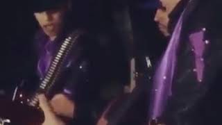 Recargado en una Palma - Ariel Camacho(Video inédito)