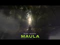 KSHMR, Munawar Faruqui - Maula (Official Audio)
