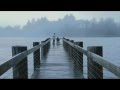 Bowerbirds - "Tuck the Darkness In" Dead Oceans Records