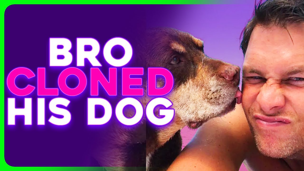 DISTURBING Tom Brady Reveals He CLONED His Dead Dog